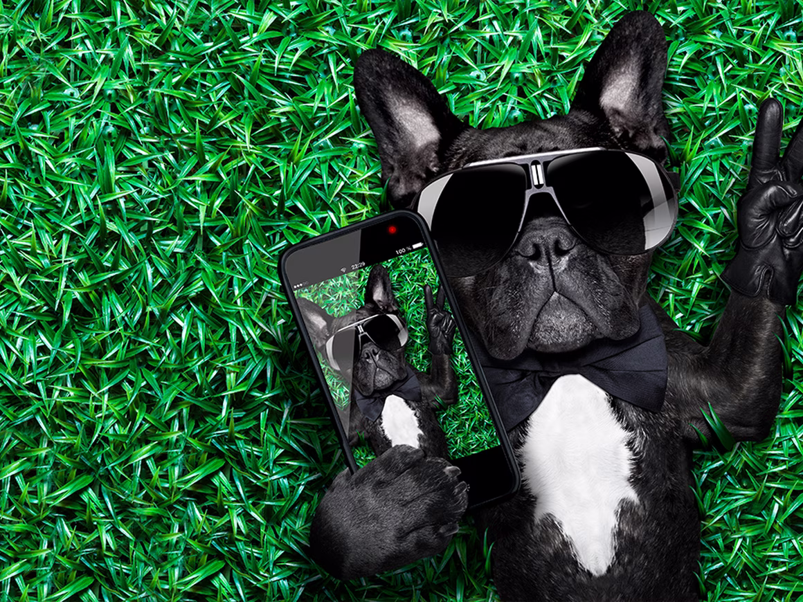 Как бренды хайпуют по праздникам