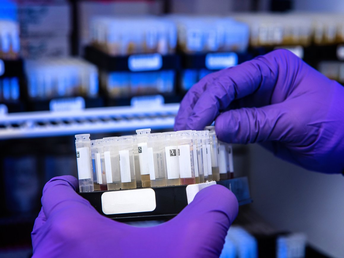 Константин Рябцев и Михаил Воробьев запустили в Индии medtech-платформу Lifetime Health