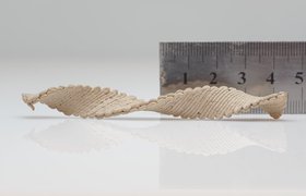 Эти деревянные детали напечатаны на 3D-принтере и принимают заданную форму при высыхании