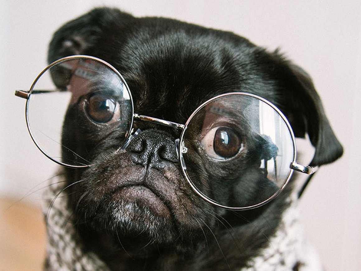 Пять компонентов эмоционального интеллекта