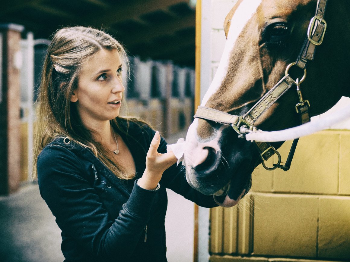 Indrive планирует протестировать конную доставку в Казахстане