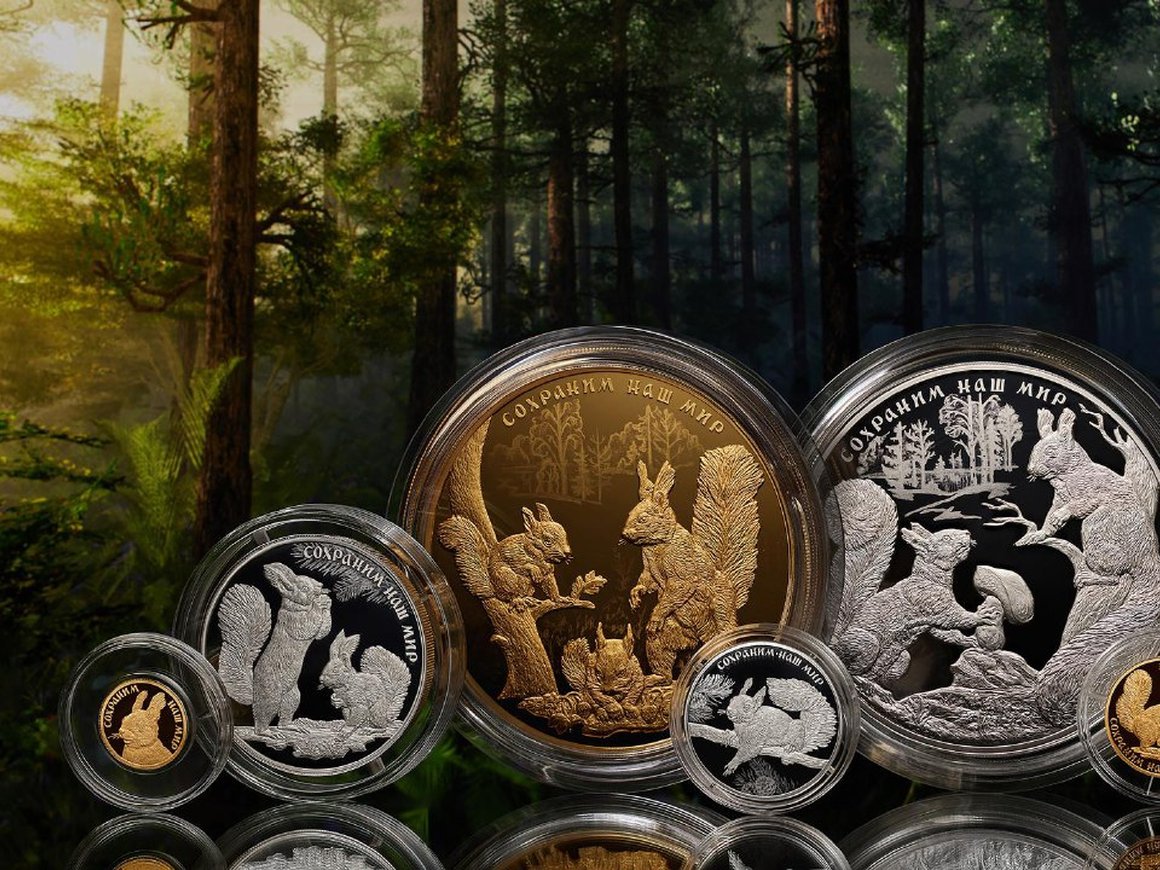 ЦБ выпустил новые монеты с белками из серии «Сохраним наш мир»