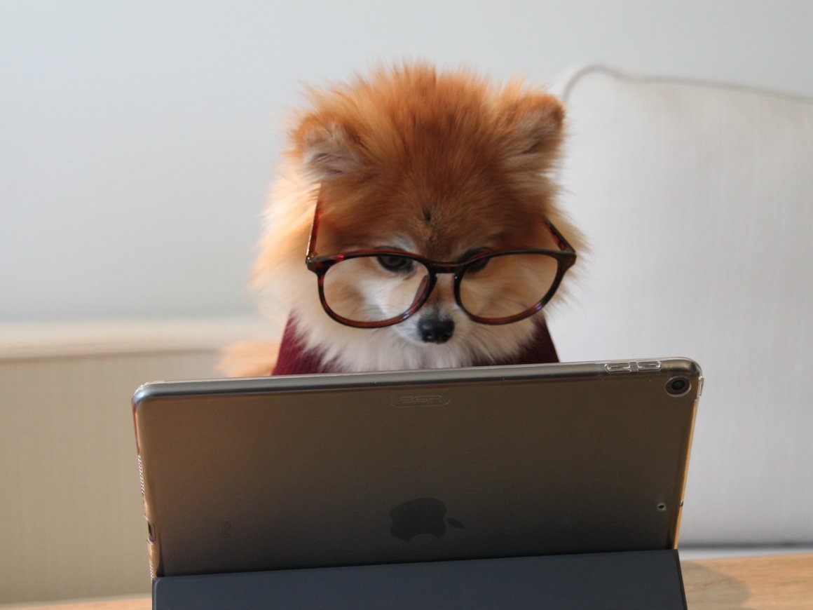 Как заработать на Medium $2 тысячи за месяц без писательского опыта