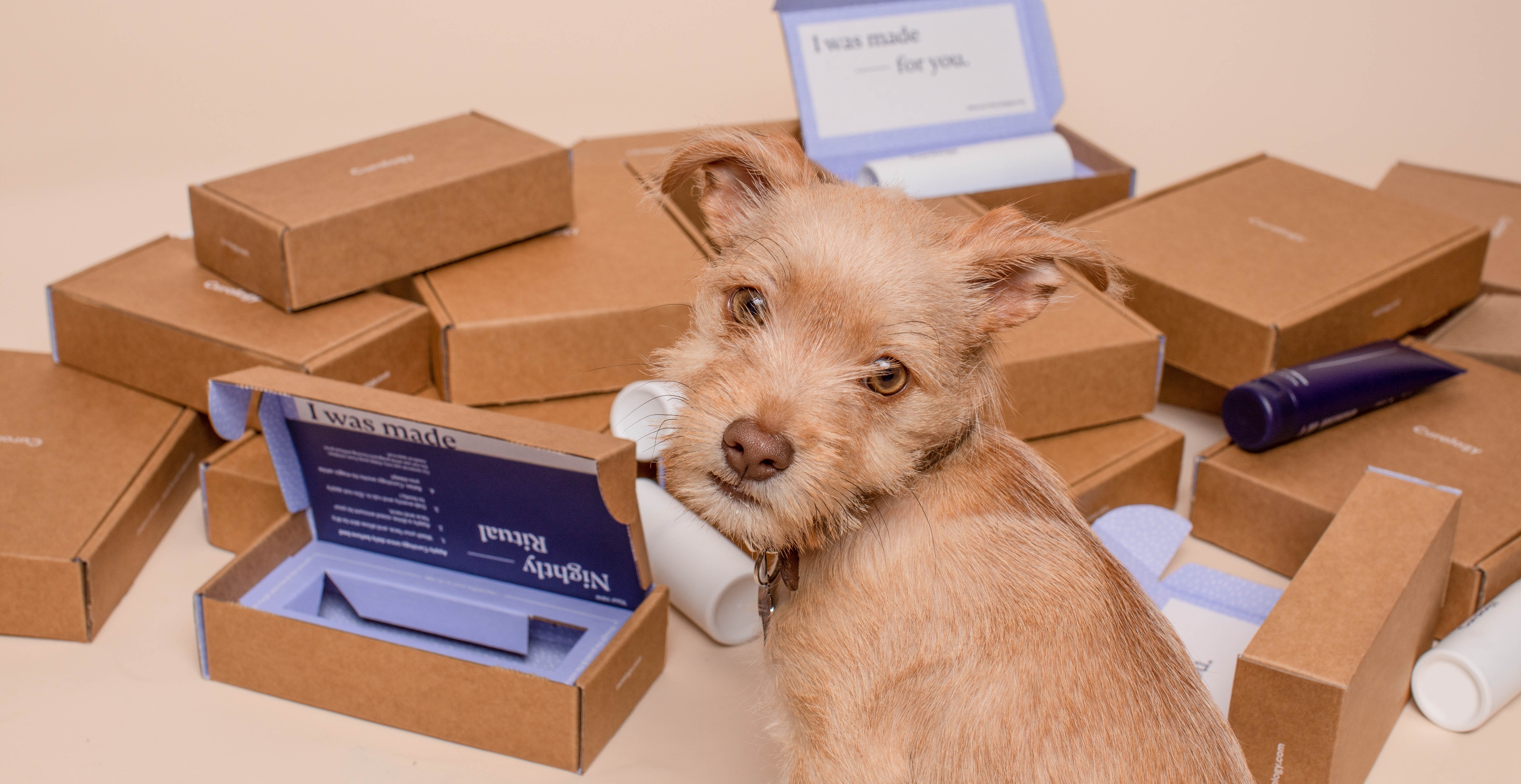 Спрос на «умные» гаджеты для питомцев вырос в 1,5 раза