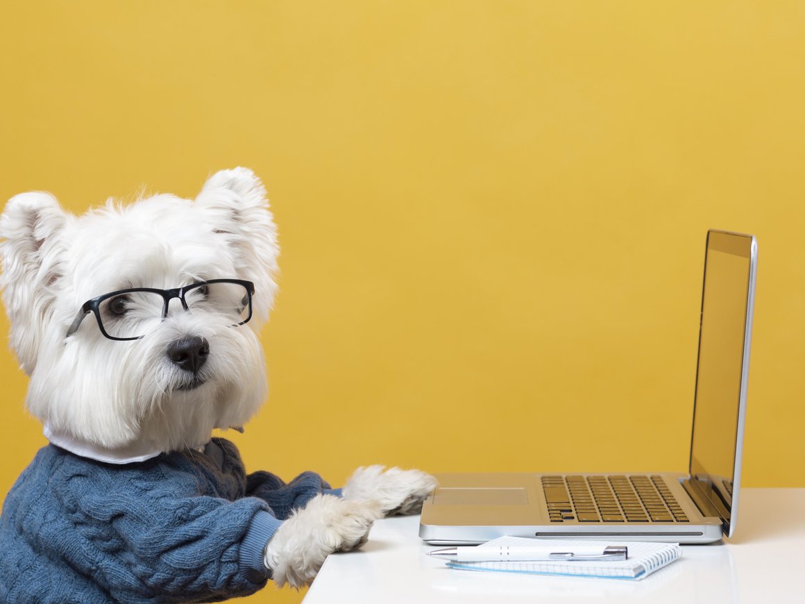 Стратегии продвижения сайта: как выбрать наиболее эффективный подход