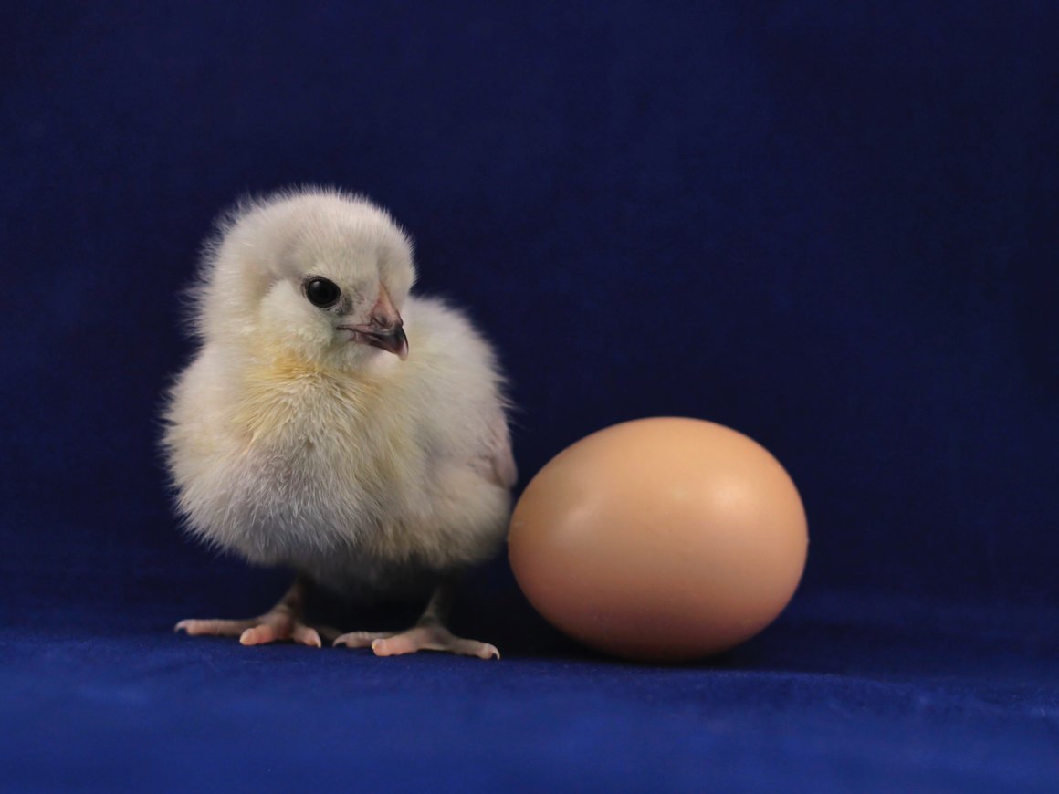 Отмена НДС на социально значимые товары и «кардинальное преобразование экономики»: главное для бизнеса 16 июля