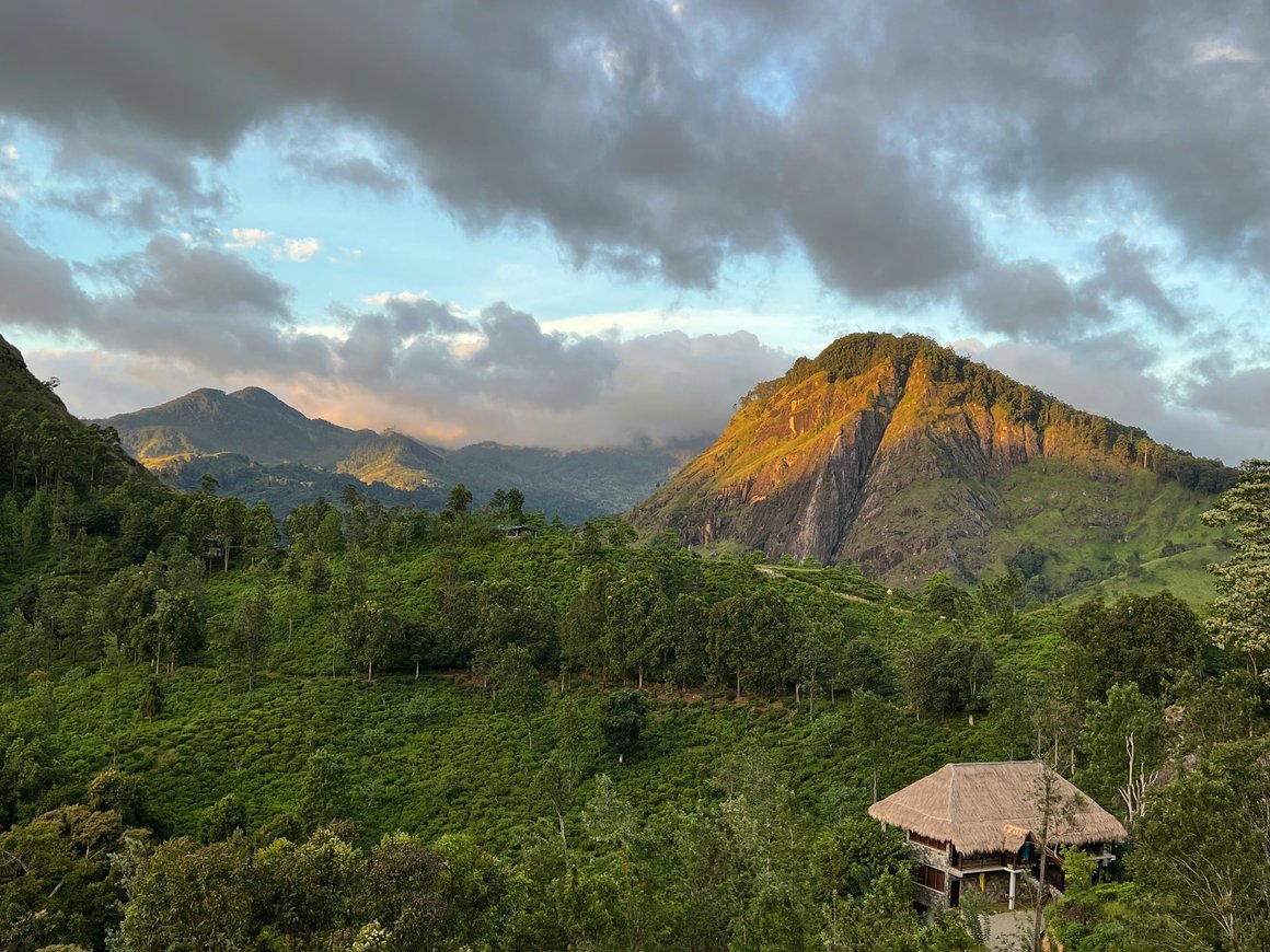 Daily Mirror: Шри-Ланка отменит визовый сбор для российских туристов