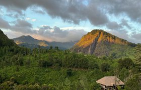 Daily Mirror: Шри-Ланка отменит визовый сбор для российских туристов