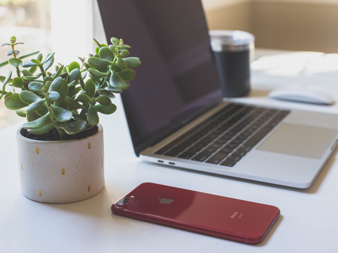 Цифровая уборка: как навести порядок в ноутбуке и смартфоне