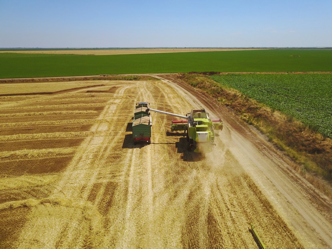 Представляем карту российского рынка AgroTech