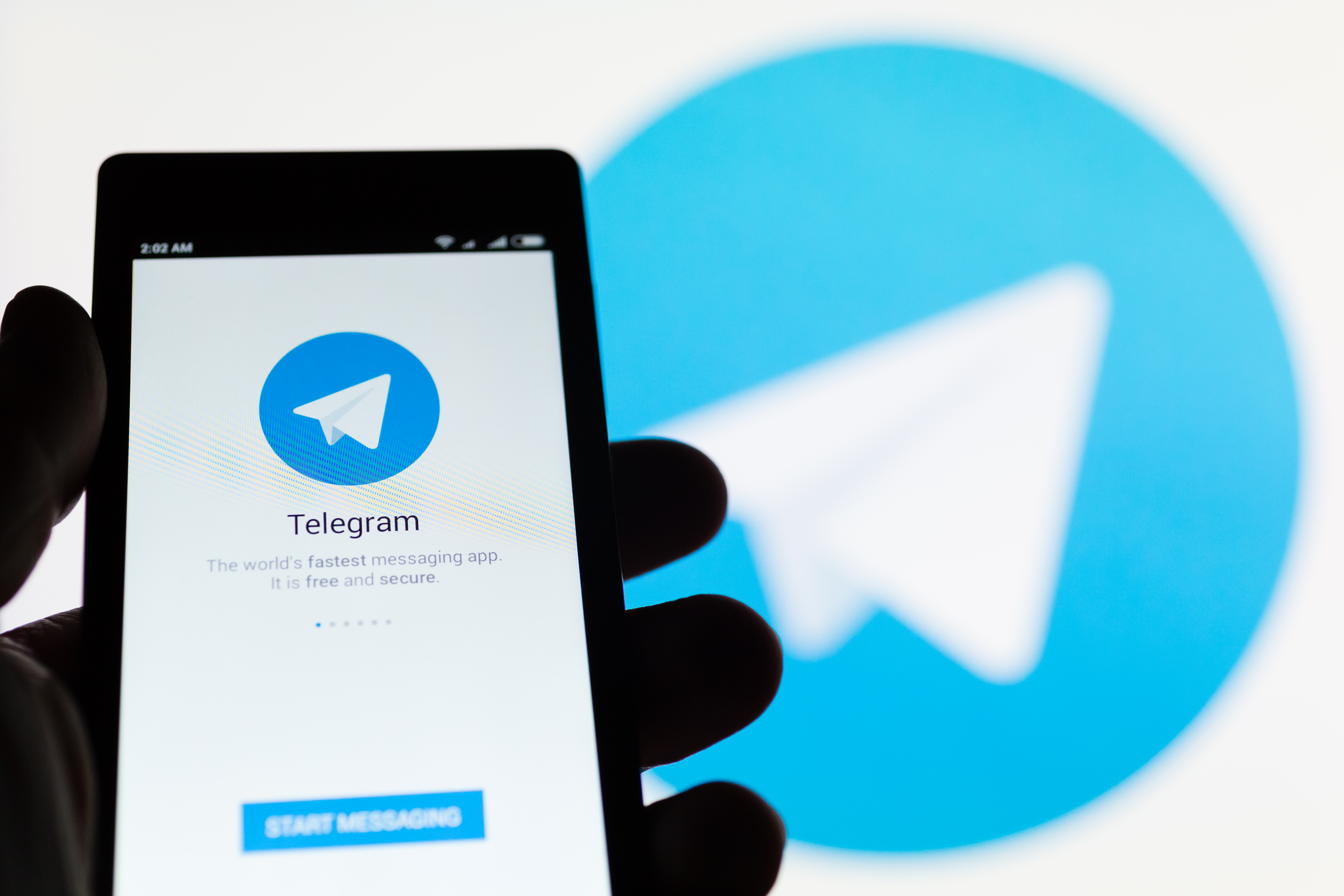 В СК подали первое заявление из-за публикации в Telegram личных данных участников митингов