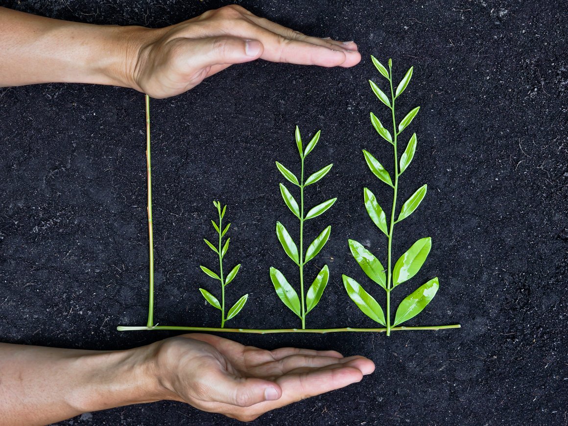 Как заработать на экологии и решении социальных проблем: названы главные темы Impact Fest 2021