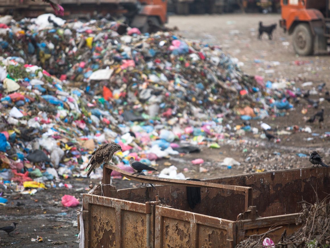 Построенную на хакатоне модель мусорного полигона представят зампреду правительства