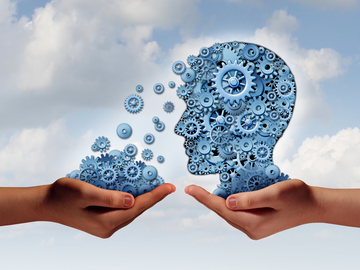 Сервис-тренажер для мозга «Викиум» купил 70% проекта «Реальная мозгокачка»