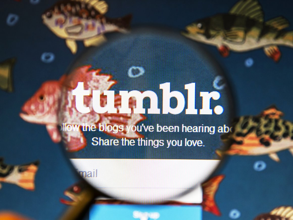 Verizon решила продать сервис блогов Tumblr владельцу WordPress
