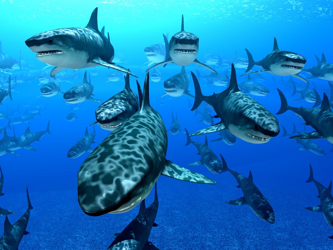 17 диалогов между трекером и стартапером, объясняющие всё