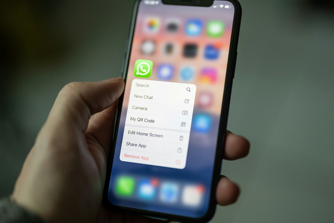 WhatsApp предложил пользователям закреплять значок фильтров чатов на виду