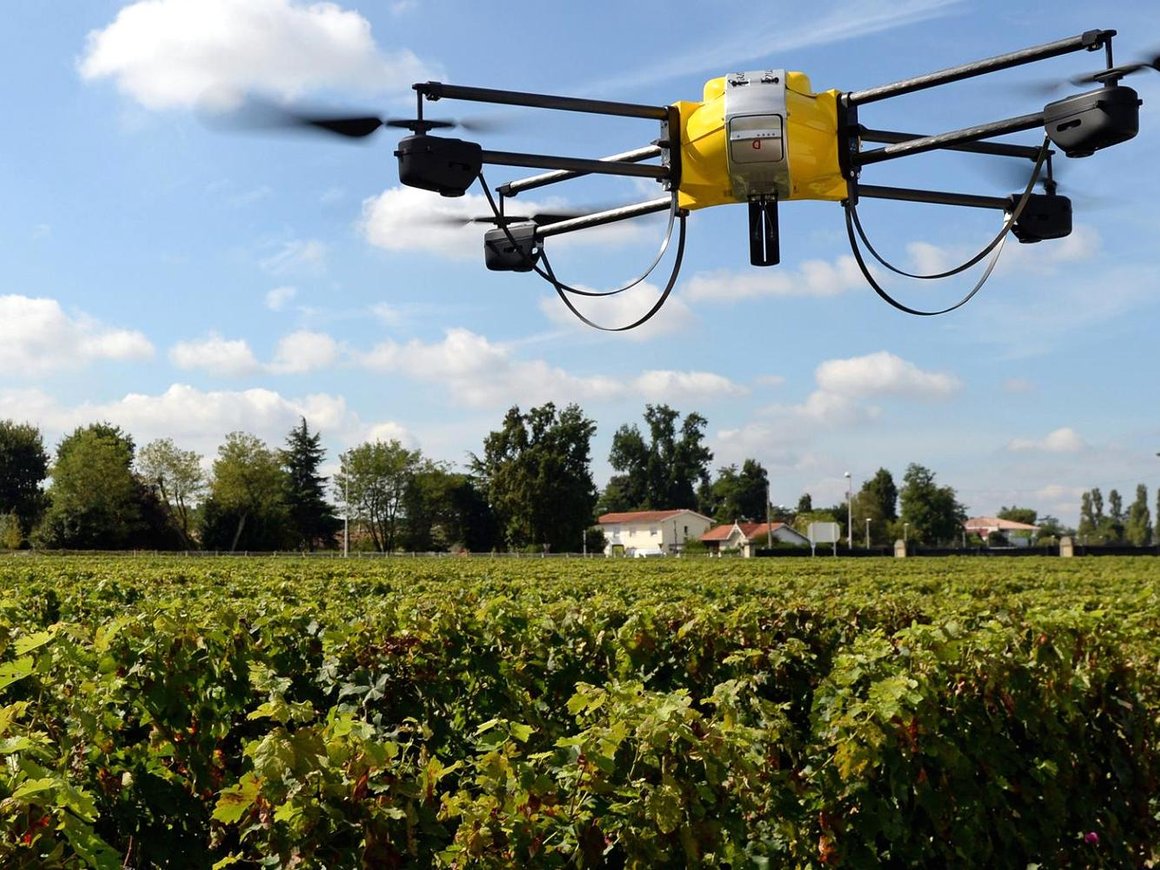 Как искусственный интеллект помогает фермерам в выращивании урожая