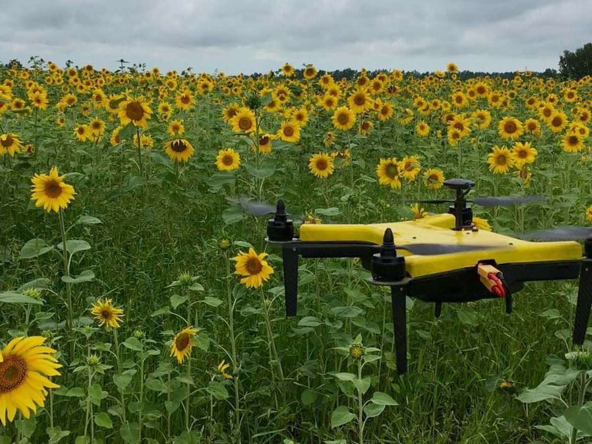 Российско-белорусский разработчик дронов для сельского хозяйства привлек 25 млн рублей