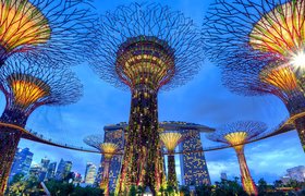 Шесть вещей, которые нужно знать, если вы выходите на рынок Сингапура