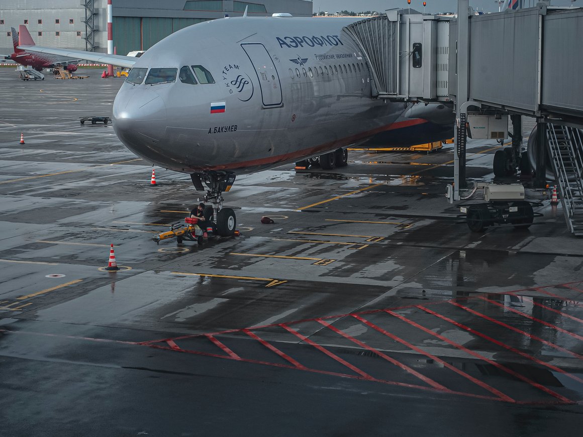 ФАС возбудила дело на «Аэрофлот» за недостоверную рекламу о бесплатном провозе лыж