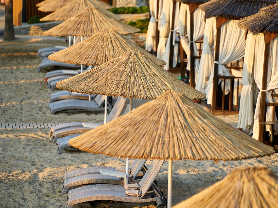 Летний турпоток в Турцию, господдержка аграриев, завод Tesla в Таиланде: главное 24 сентября