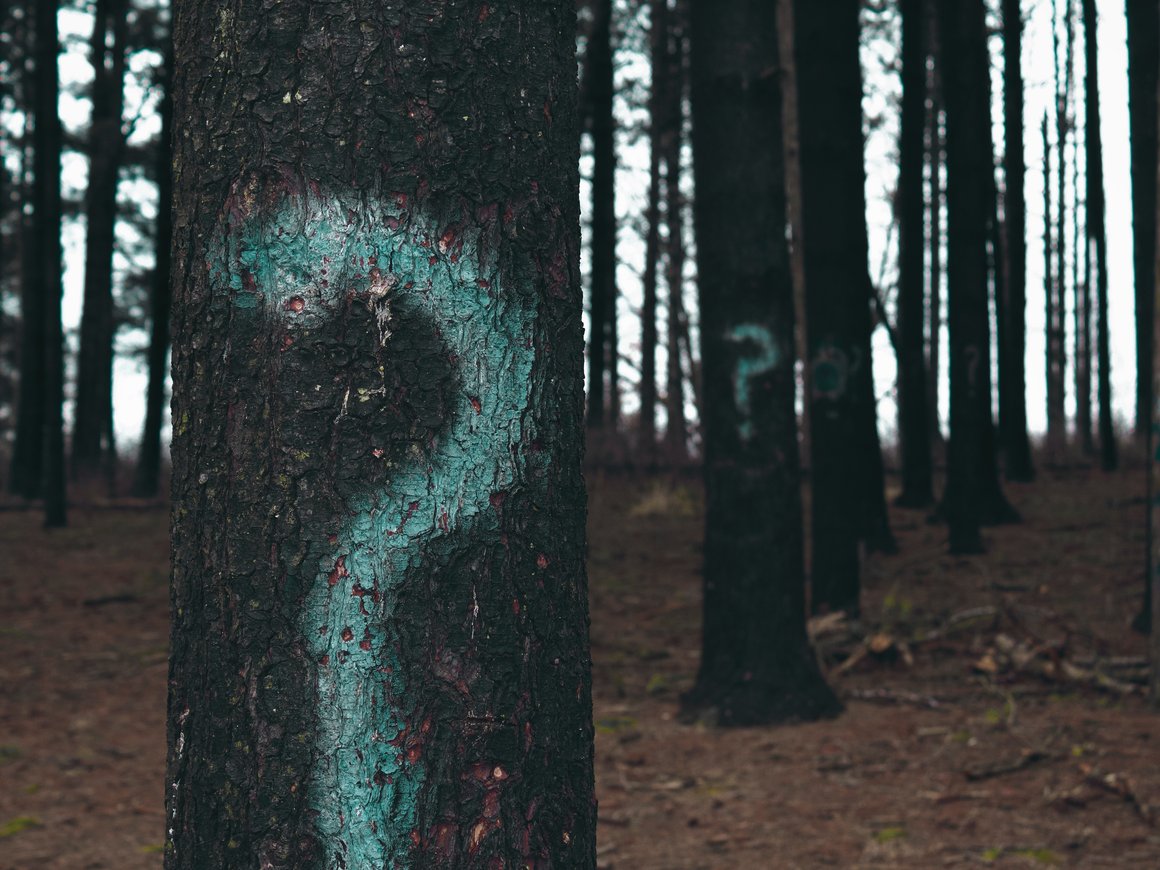 Как ответить на вопрос, который должен задавать себе каждый стартап