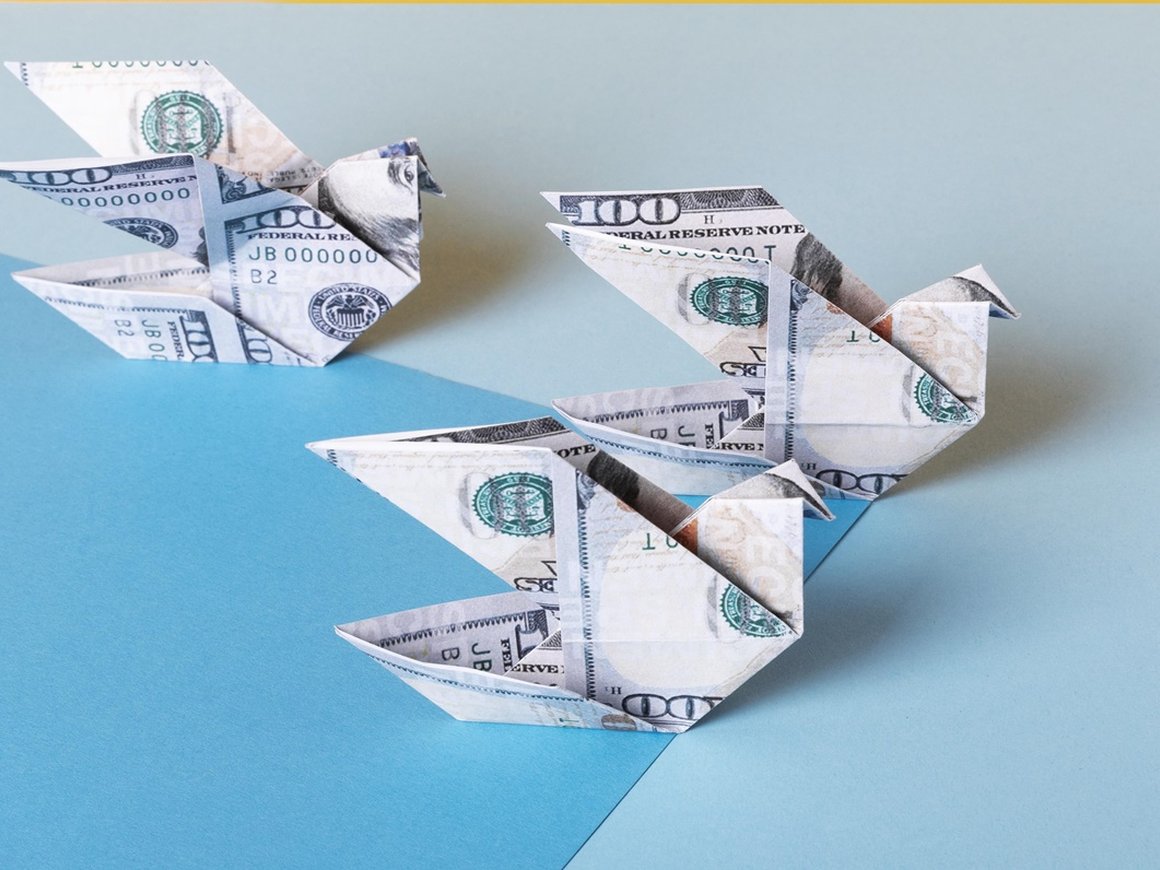 Косвенные налоги: что к ним относится, как начисляются и почему их не всегда видно