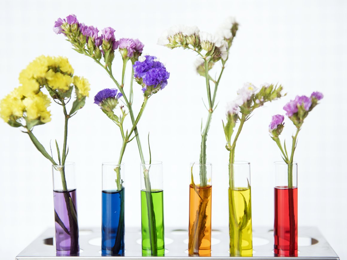 Как организовать собственное производство косметики