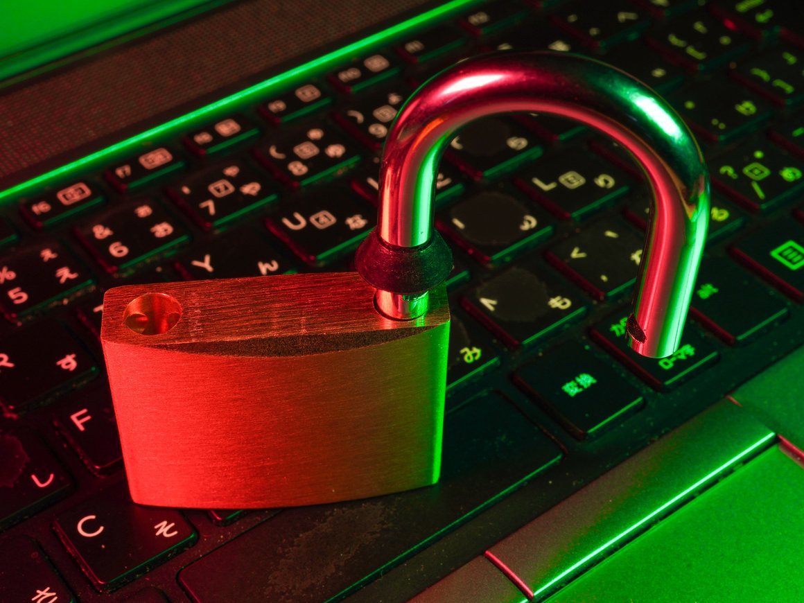 Средняя страховая выплата пострадавшим от кибермошенников – 20,5 тыс. рублей