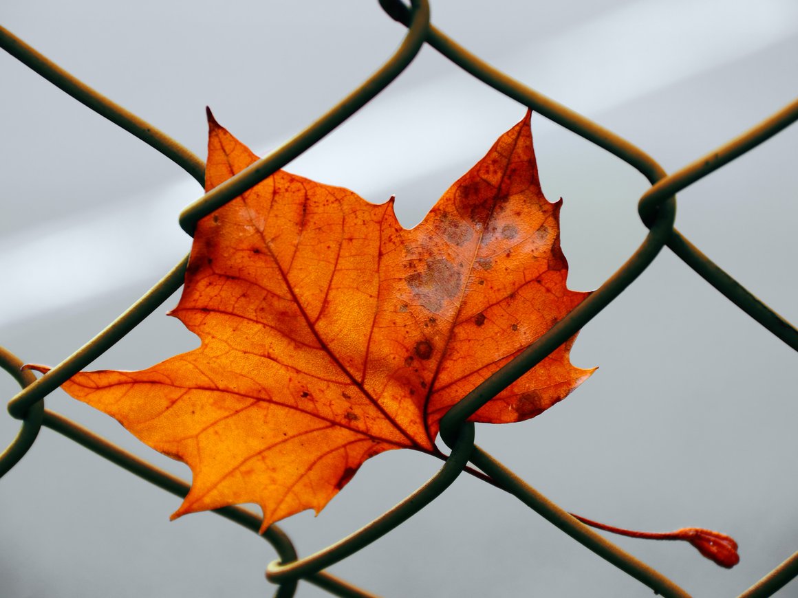 Дело экс-главы РВК Александра Повалко снова вернулось в суд