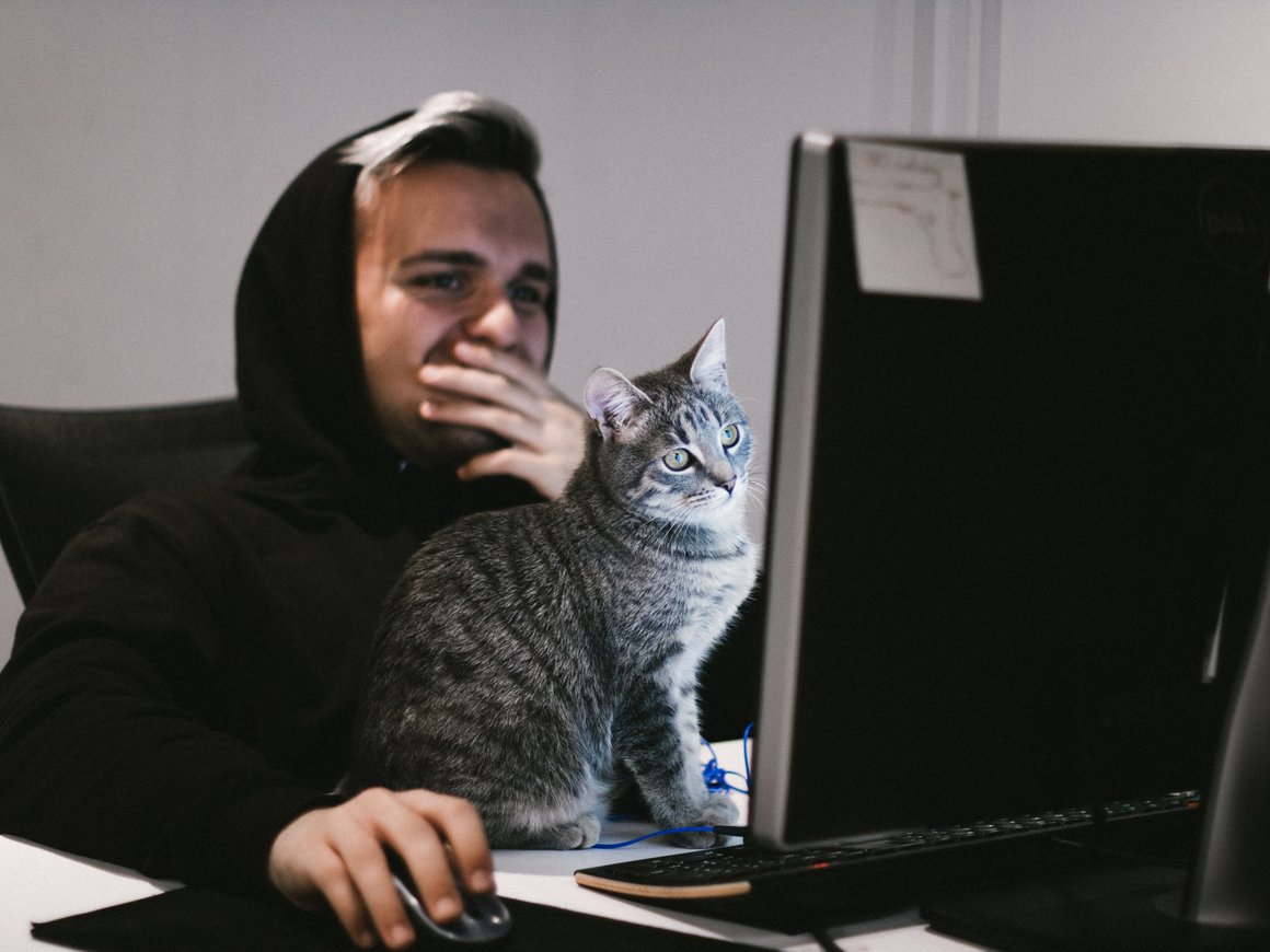 «Учи.ру» и Mail.ru Group запустили Всероссийскую онлайн-олимпиаду по программированию