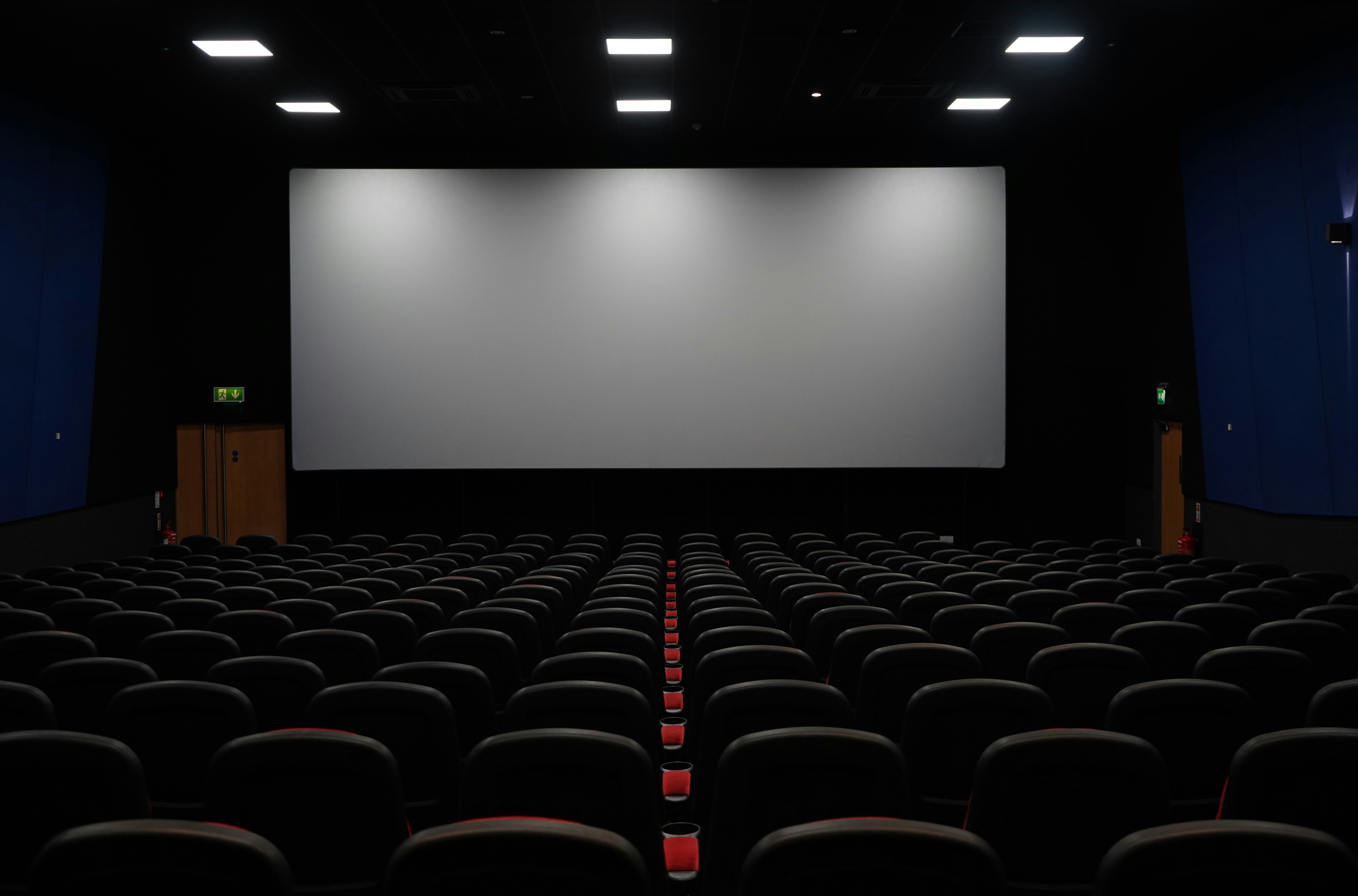 Число российских премьер в кинотеатрах выросло на 76% за четыре года — исследование