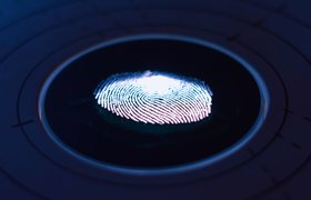Госдума приняла в окончательном чтении закон о биометрических данных
