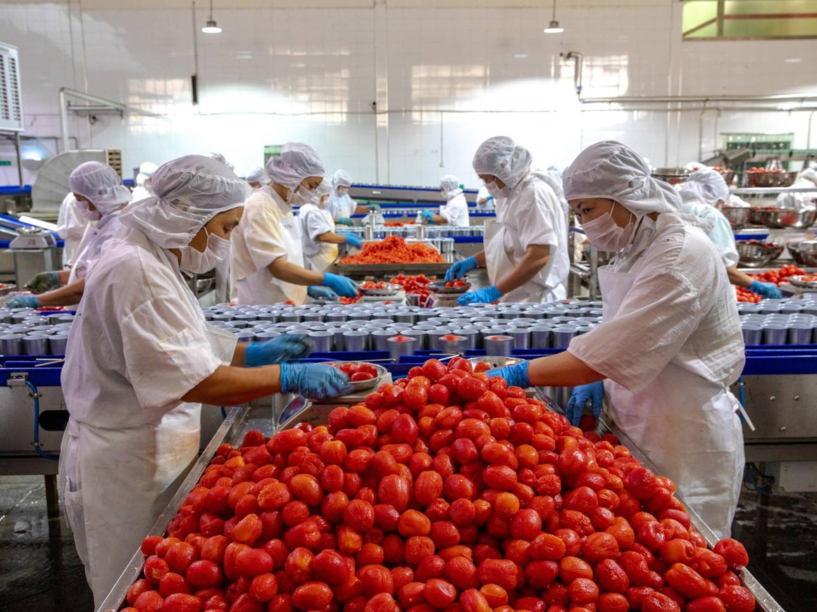 Цены на овощную консервацию в России вырастут на 5-7% в 2025 году