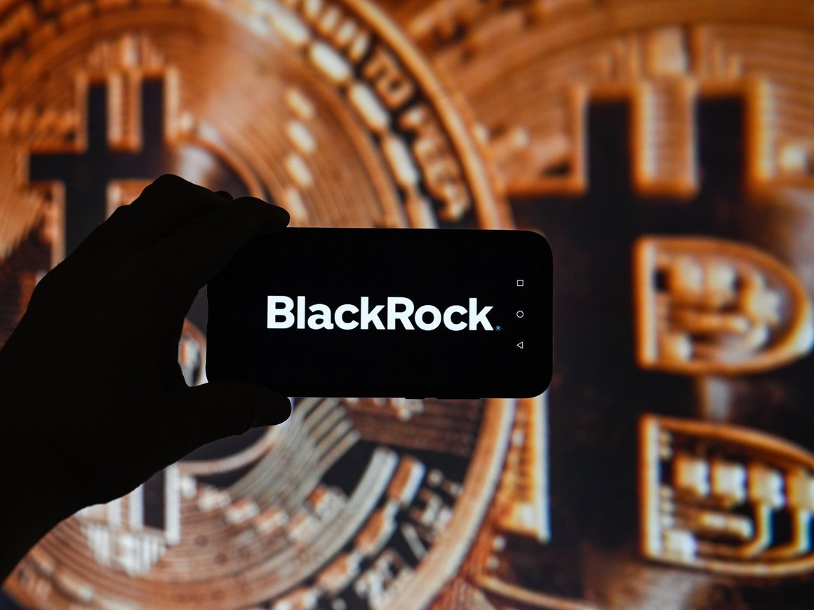 Глава BlackRock допустил рост биткоина до $700 тыс.