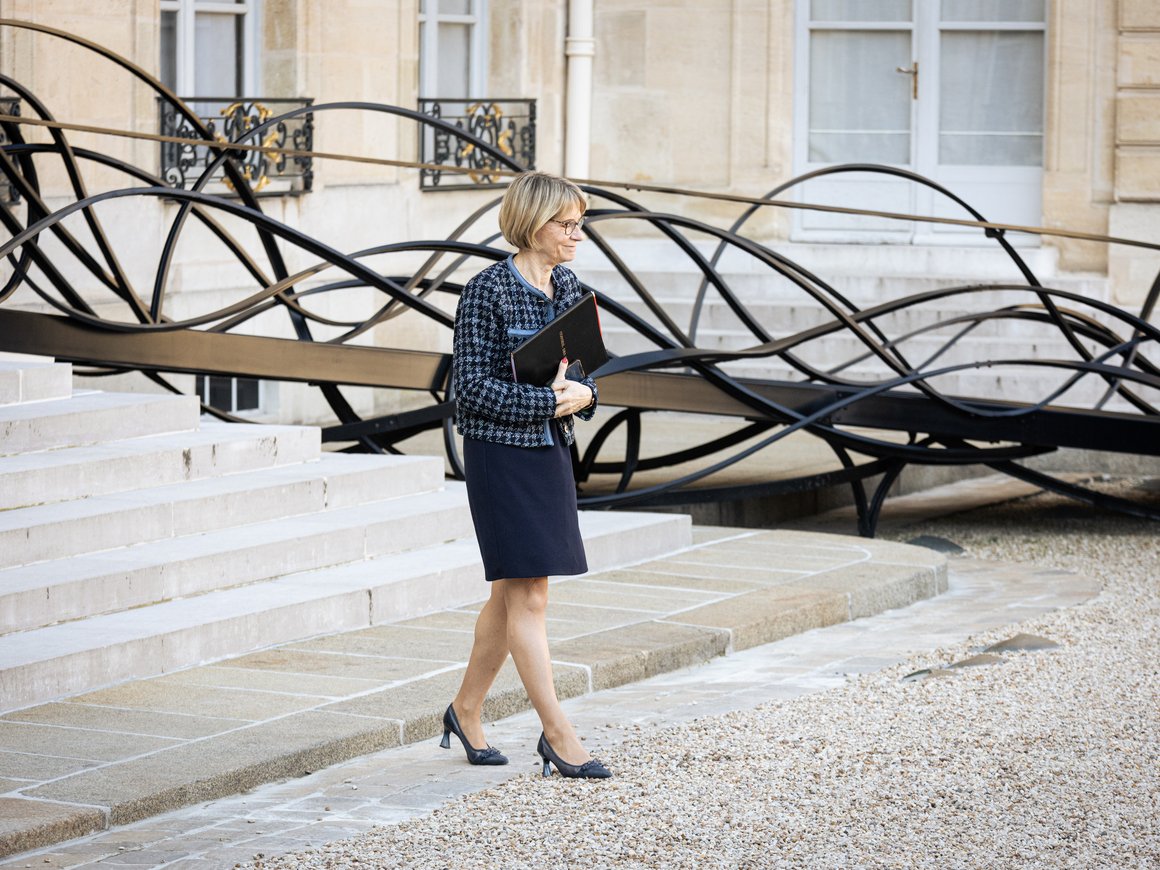 Счетная палата предложила разрешить ФНС следить за операциями самозанятых