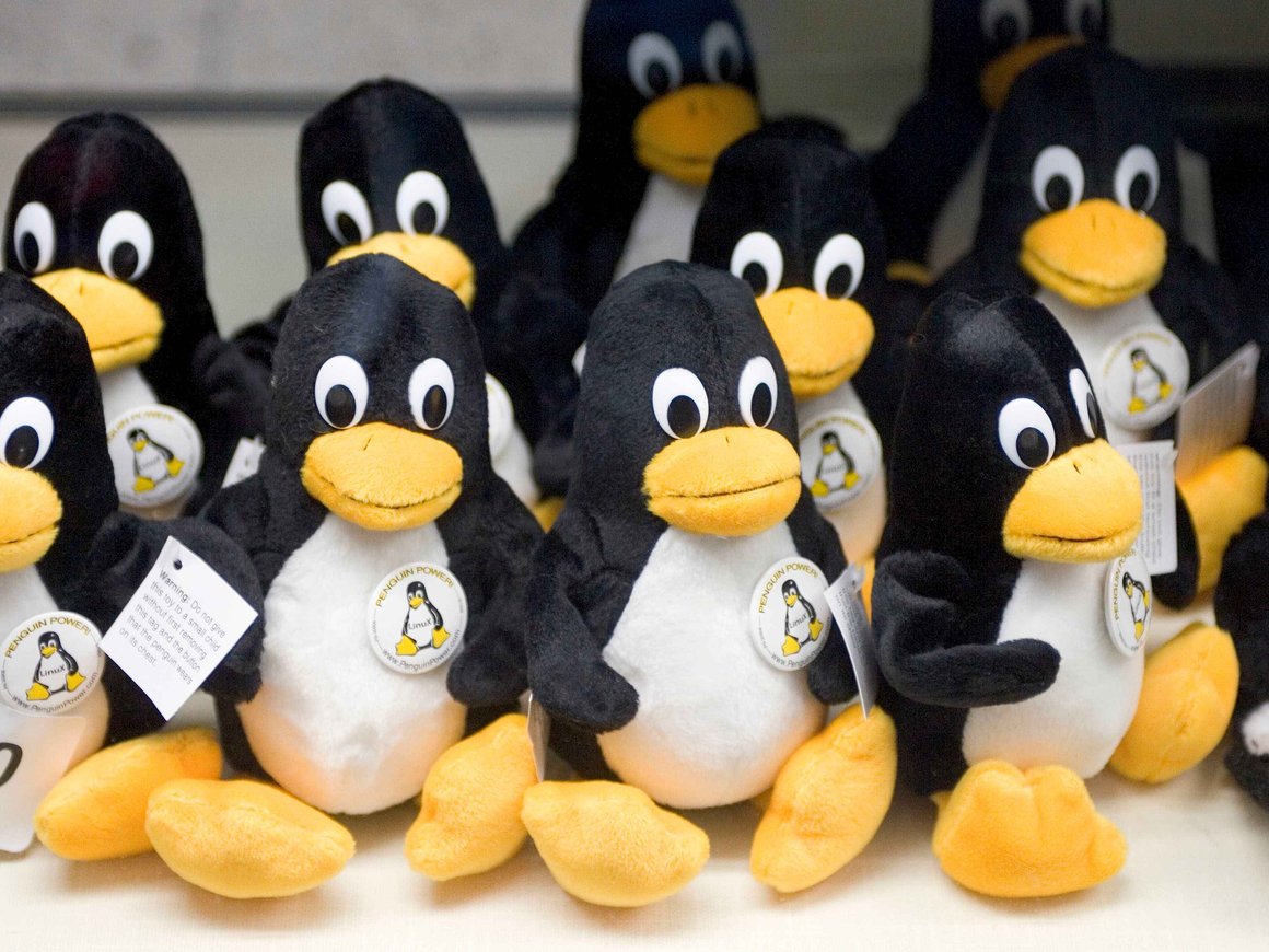 Российских программистов отстранили от разработки ядра Linux