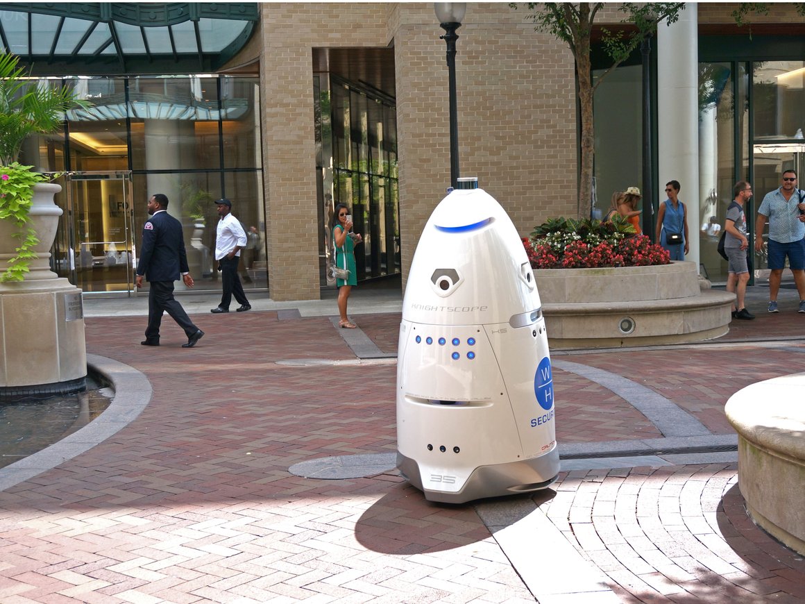 Полиция США использует робота в форме яйца для патрулирования парка. Илон Маск настроен скептично