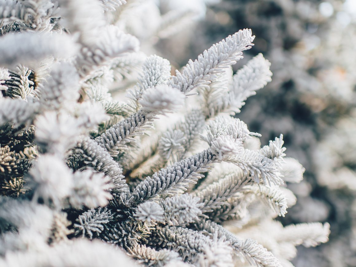 Рост стоимости машин, рестораны на Новый год и задержки рейсов из-за снега: главное 18 декабря