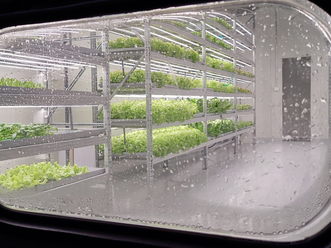 Партнер Chanel будет выращивать натуральные ингредиенты для косметики по технологии iFarm