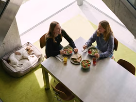 Бесплатный обед и профилактика выгорания: зумеры назвали свой «базовый минимум» и «роскошный максимум» в офисе