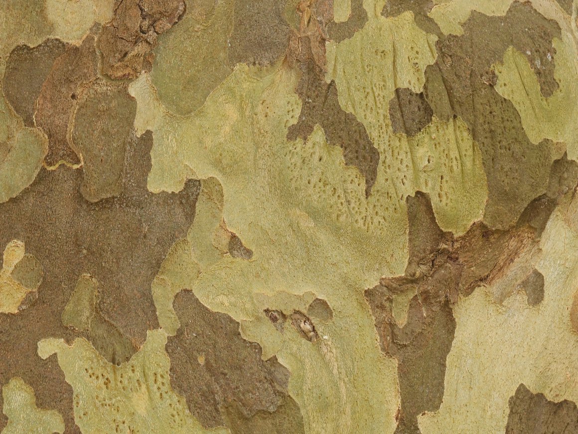 Бизнес предложил призывать в рамках мобилизации не более 10% от штата предприятий