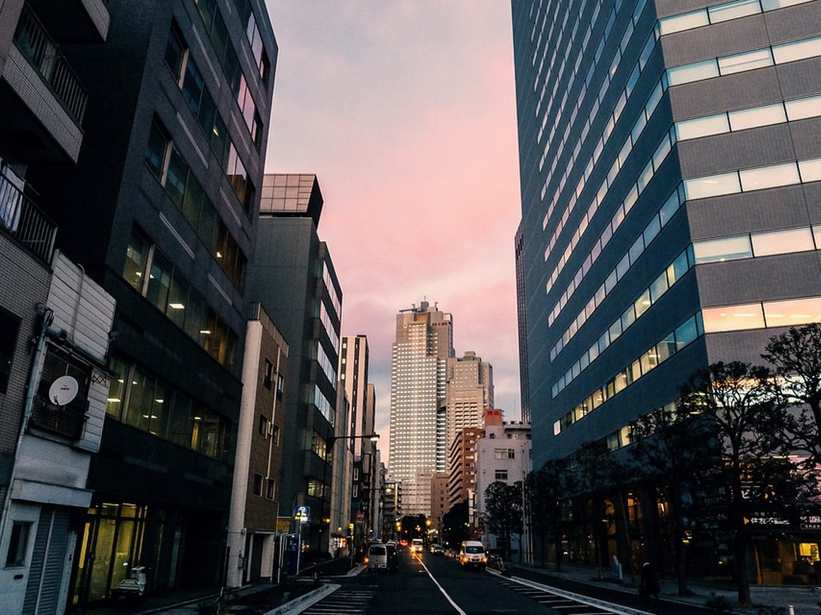 Япония упростит визовый режим для российских бизнесменов и студентов