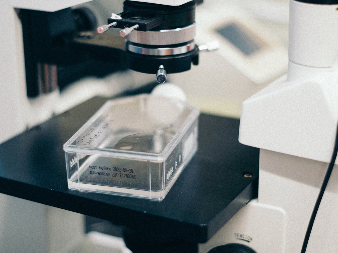 Сеченовский университет запустил бесплатный курс лекций по MedTech-предпринимательству