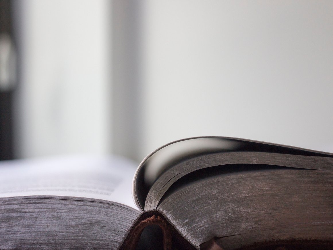 Правительство отказалось от идеи создания российского аналога «Википедии»