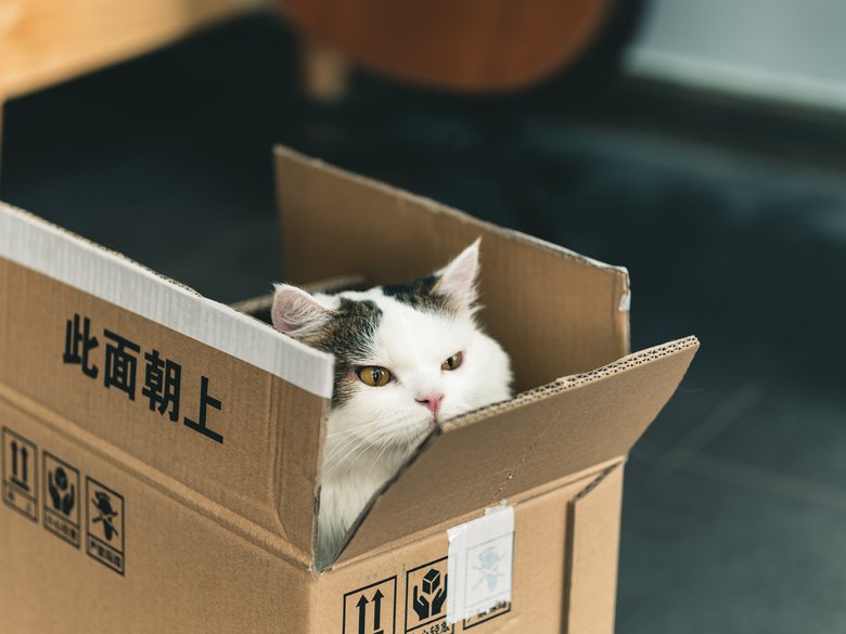 Цветные коробки: методика позиционного управления в ИТ