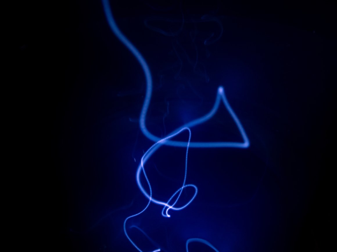 Физтех Акселератор выпустил первый поток трека по искусственному интеллекту