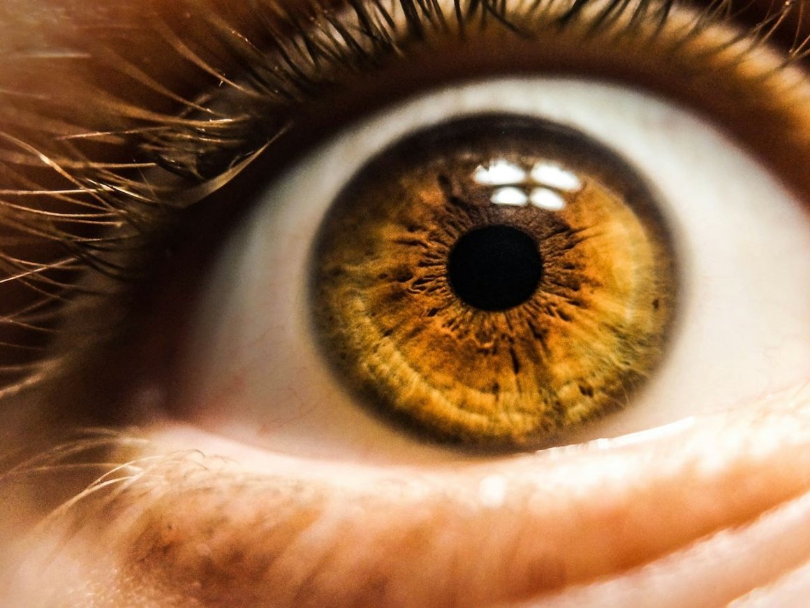 Экономический кризис в Аргентине помог стартапу Worldcoin со сбором биометрии