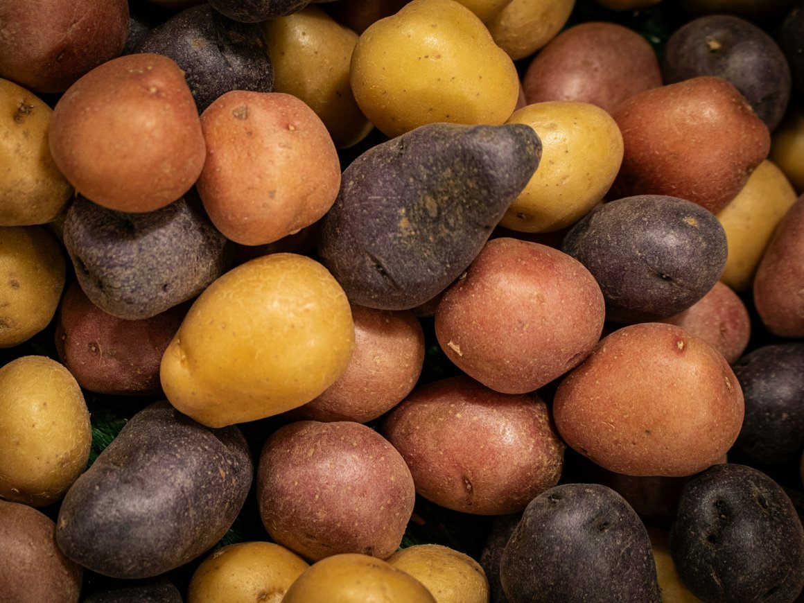 ​​ФАС предложила торговым сетям расширить ассортимент картофеля